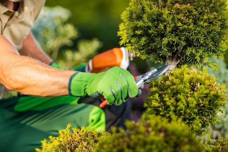 Pruning
