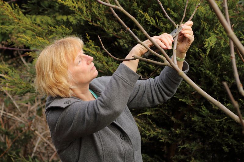 Pruning