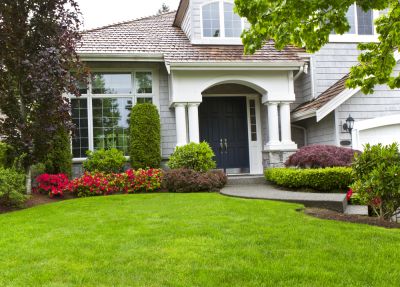 Keep Your Bushes and Trees Well Maintained!